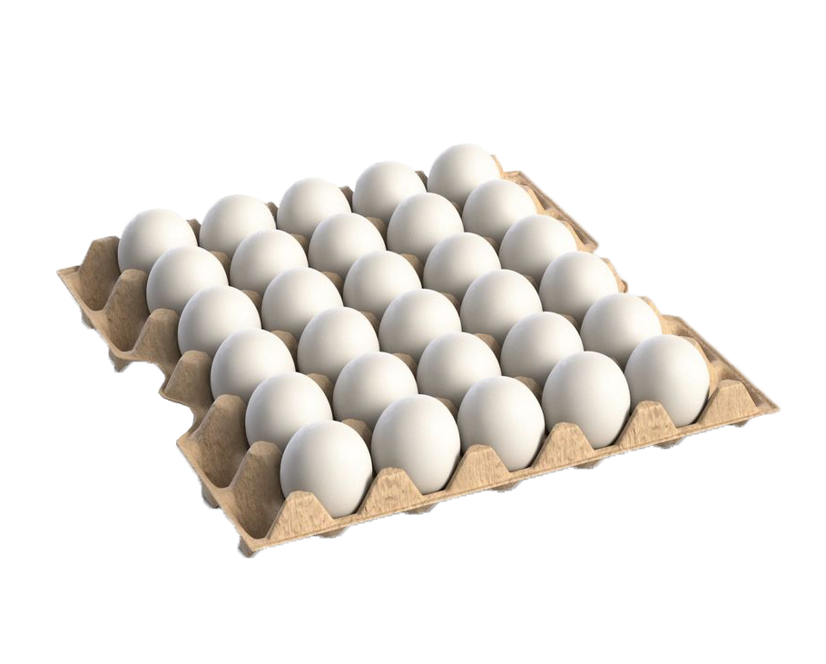 Huevo Blanco Grande N°1 "Avi-Sur" x Maple